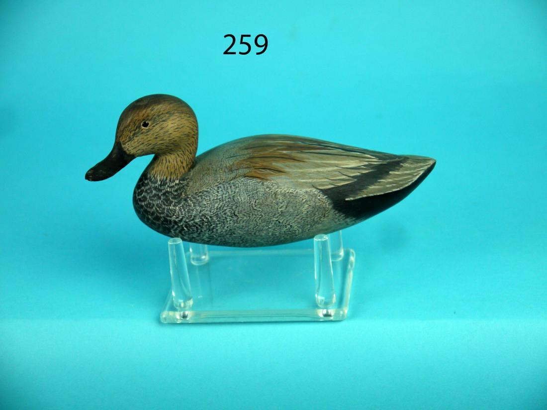 MINIATURE GADWALL HEN, (1 of 4)