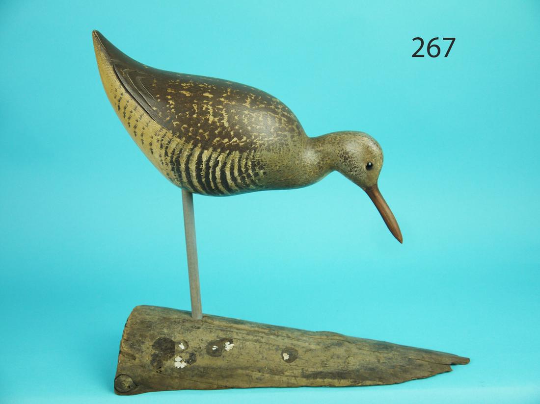 CLAPPER RAIL, S. MOREY (1 of 4)