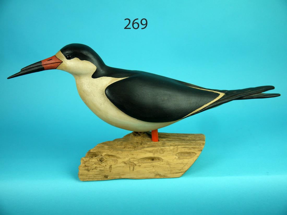 SKIMMER, S. MOREY: RARE SKIMMER by Steve Morey, Tuckerton, NJ. Excellent original paint and condition. Deep relief-carved wings and carved crossed tail feathers. Retains glass eyes. Detailed carving to bill. Mounted ato