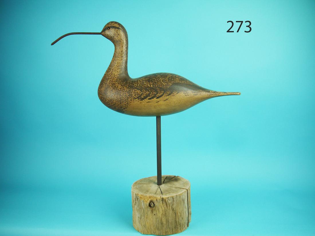 LONG-BILL CURLEW, S. MOREY (1 of 4)