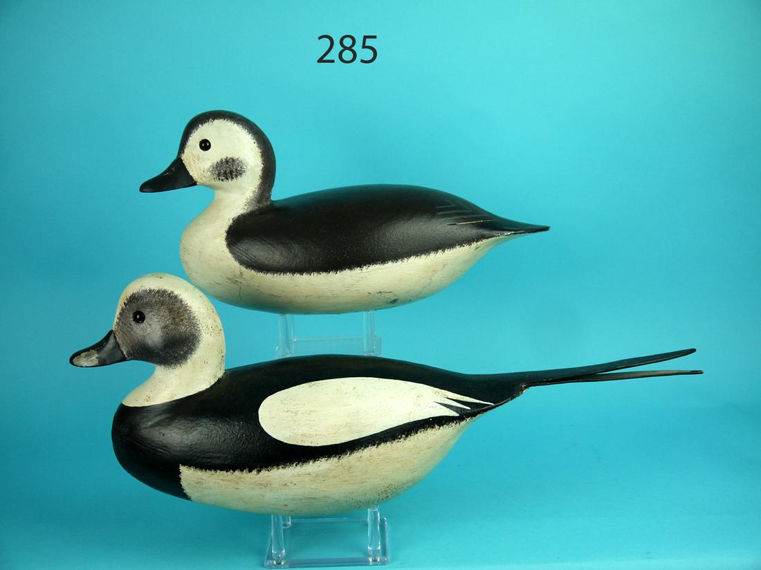 OLD SQUAW PAIR, J. HAMILTON: PAIR OF OLD SQUAWS by John Hamilton, Cedar Run, NJ. Very good original paint. Some very minor flaking to back of hen's neck. Unused condition. Hen's head turned slightly left. Retain glass eyes and in