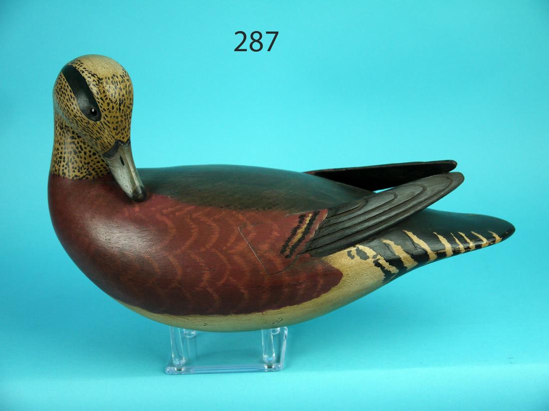 WIDGEON DRAKE, S. MOREY (1 of 4)