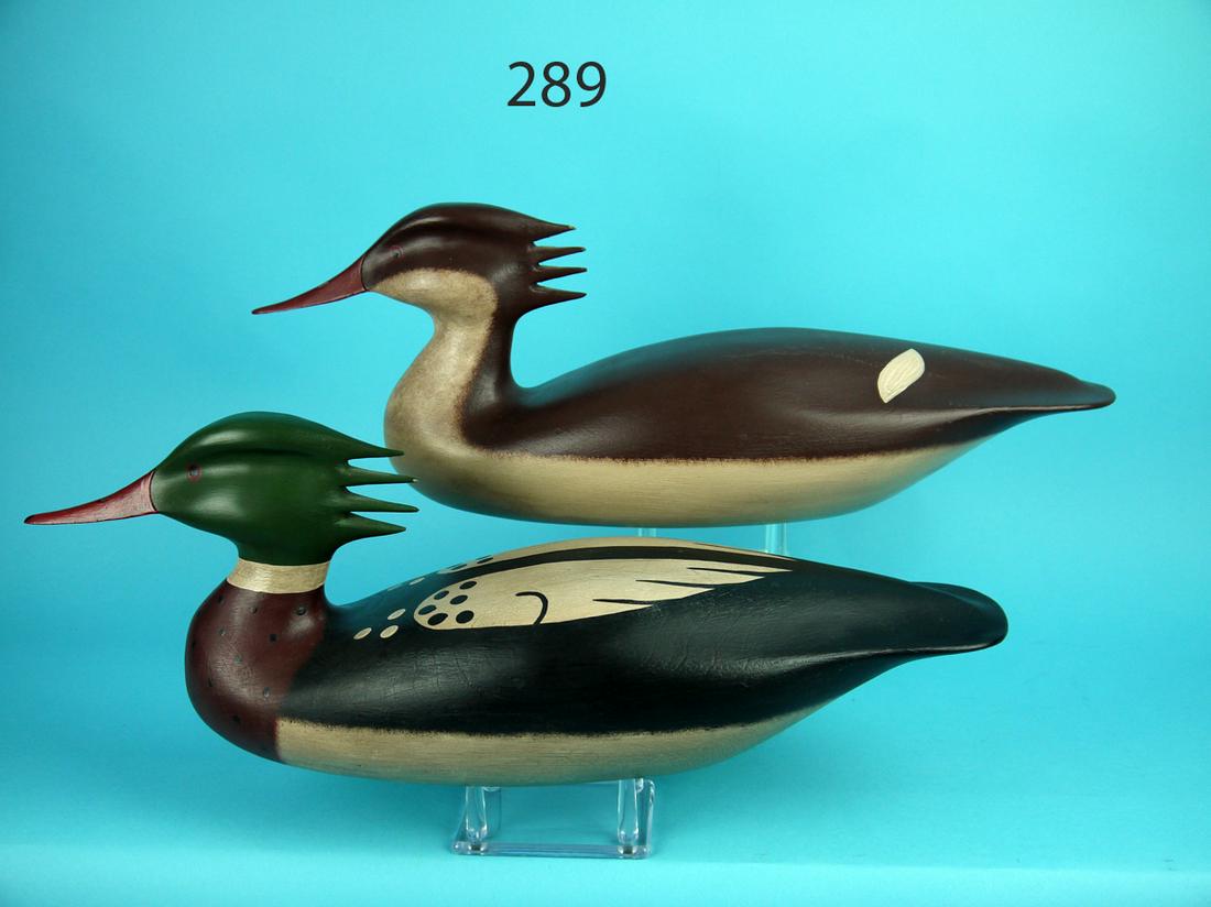 RED-BREAST MERGANSER PAIR, C. ALLSOPP (1 of 4)