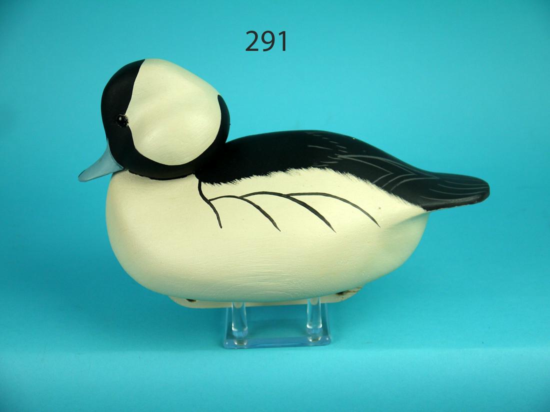 BUFFLEHEAD DRAKE, C. ALLSOPP (1 of 4)