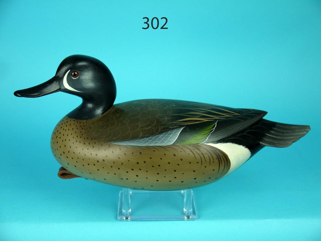 BLUE WING TEAL DRAKE, G. STRUNK (1 of 4)