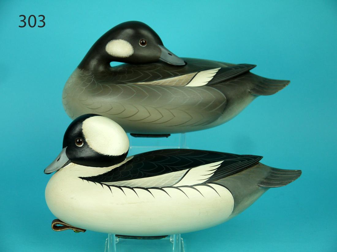 BUFFLEHEAD PAIR, G. STRUNK (1 of 4)