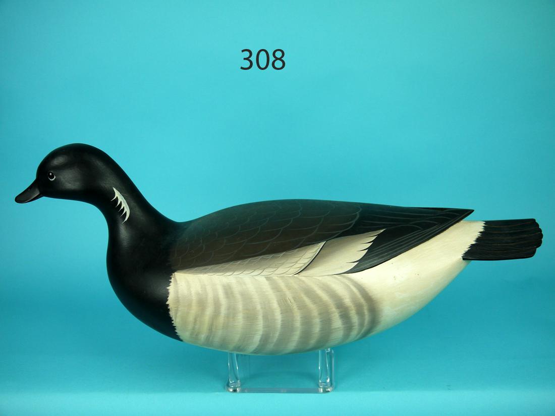 SWIMMING BRANT, G. STRUNK (1 of 4)