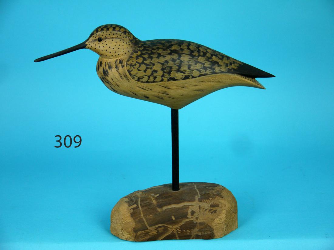 YELLOWLEG, B. WHITE (1 of 4)