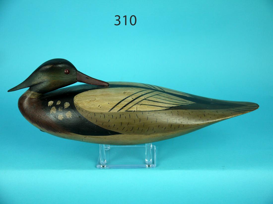 RED BREAST MERGANSER, B. WHITE (1 of 4)