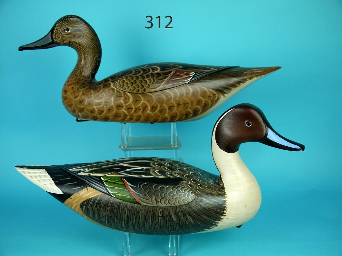 PINTAIL PAIR, J. HILLMAN (1 of 4)