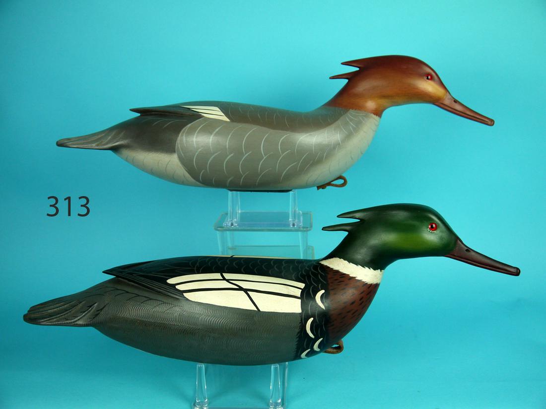 RED-BREAST MERGANSER PAIR, C. FENNIMORE (1 of 4)