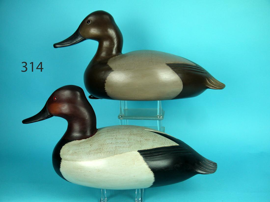 CANVASBACK PAIR, C. FENNIMORE (1 of 4)