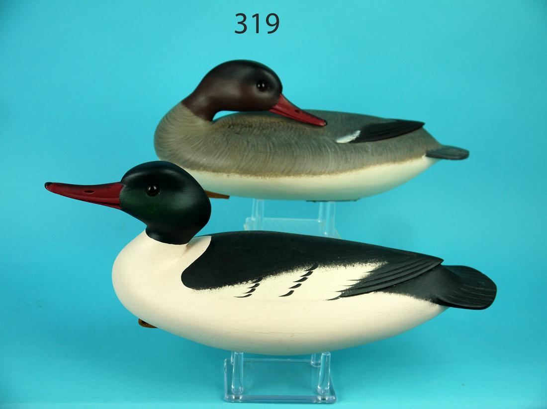 AMERICAN MERGANSER PAIR, F.C. BROWN, JR. (1 of 4)