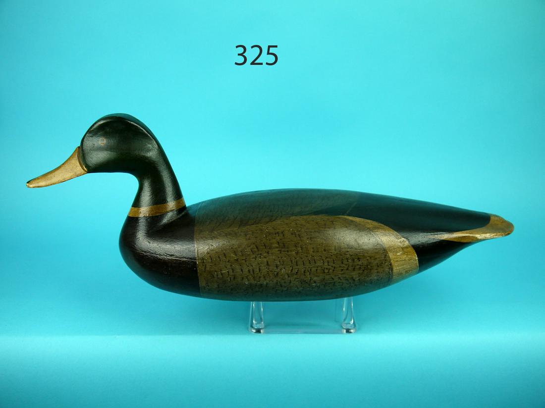 MALLARD DRAKE, C. ALLSOPP (1 of 4)