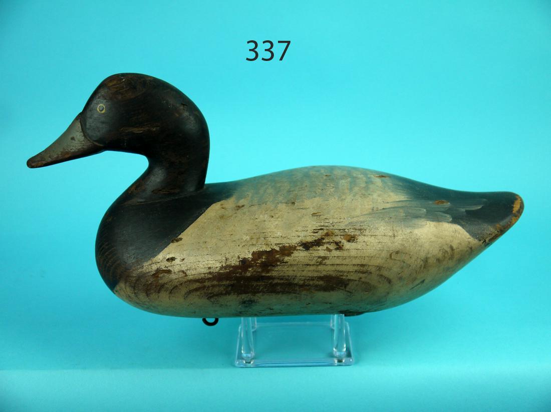 BLUEBILL DRAKE, R.M. MITCHELL (1 of 4)