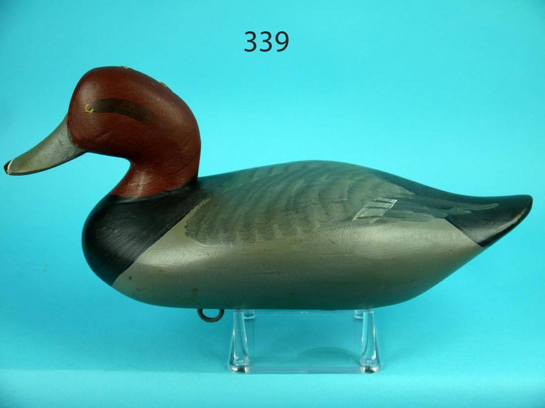 REDHEAD DRAKE, R.M. MITCHELL (1 of 4)