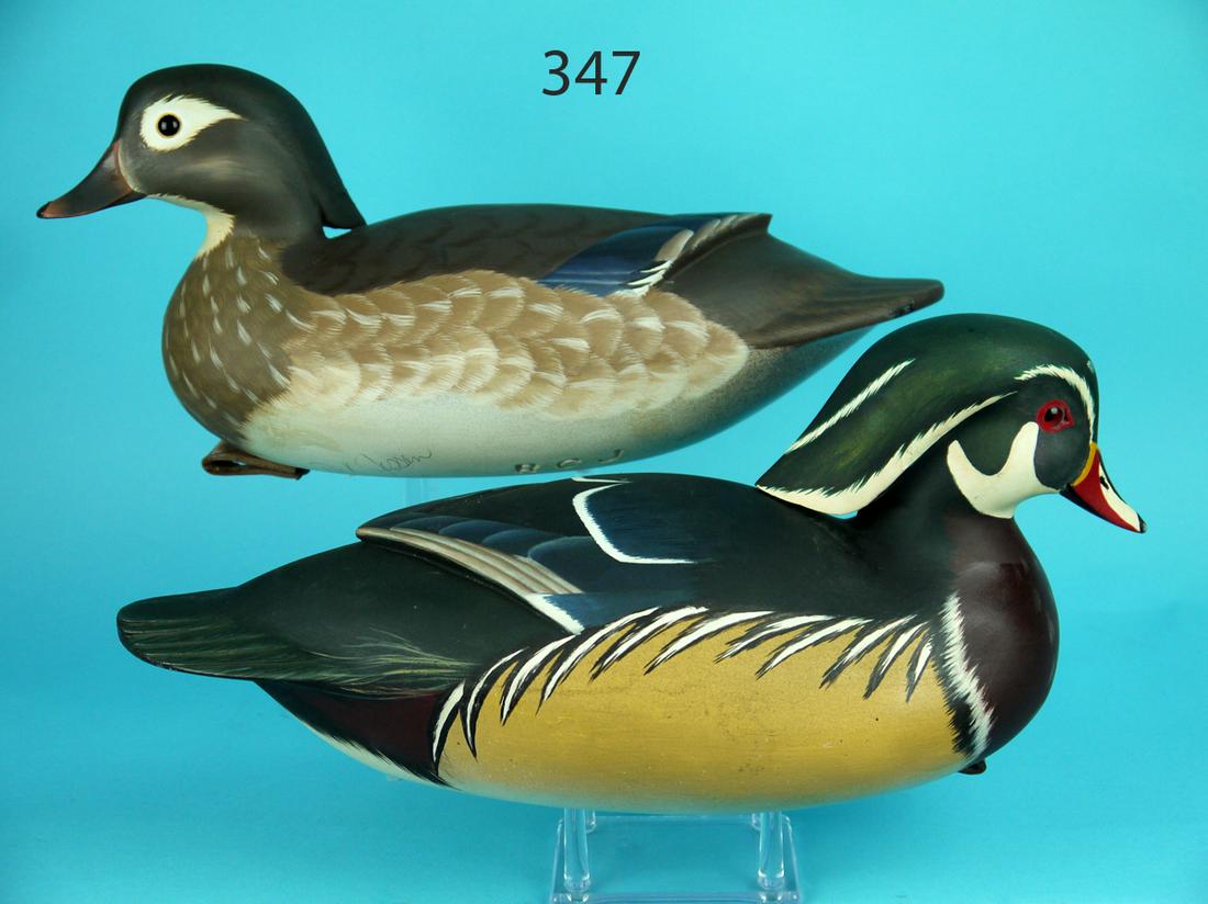 WOOD DUCK PAIR, D. JESSEN (1 of 4)