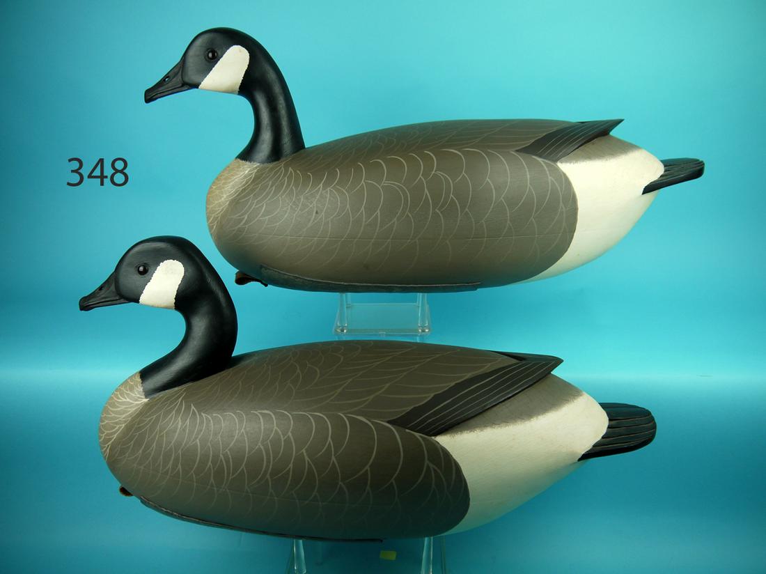 CANADA GOOSE PAIR, J. HOLLOWAY (1 of 4)