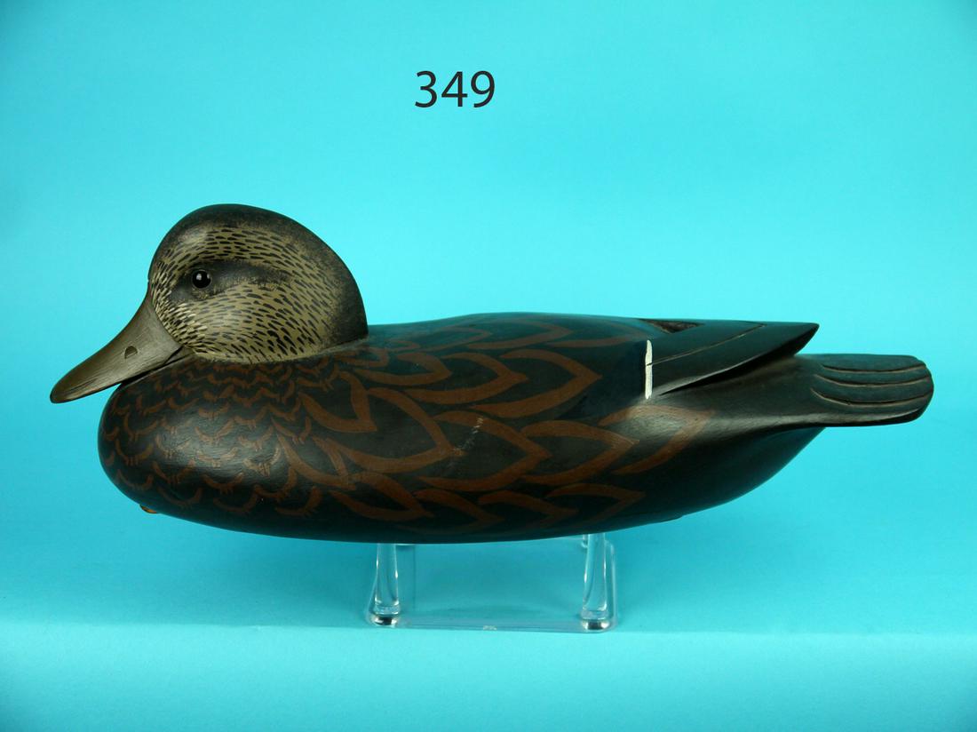 BLACK DUCK, J. HOLLOWAY (1 of 4)