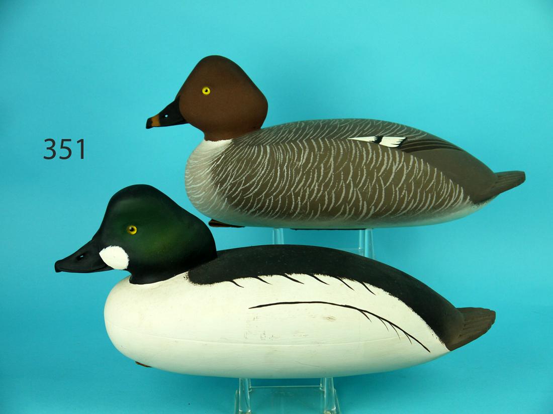 GOLDENEYE PAIR, J. HOLLOWAY (1 of 4)