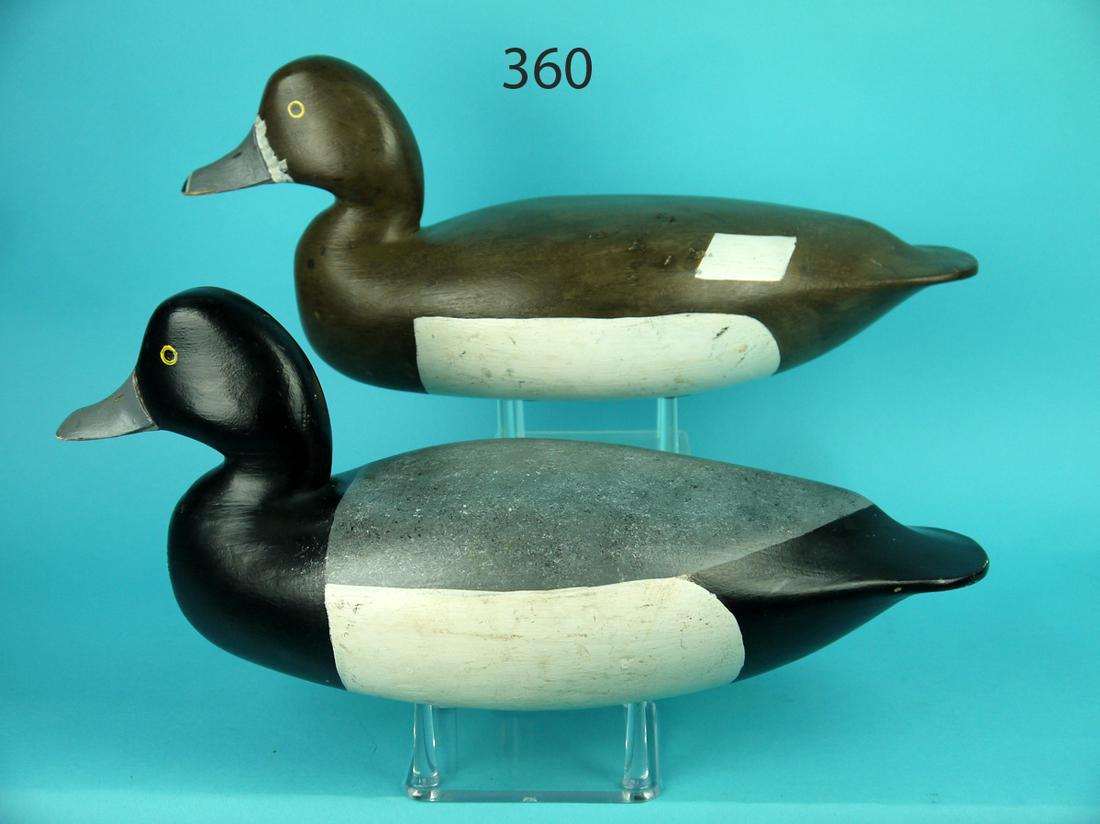 BLUEBILL PAIR, W. HAMMARSTROM (1 of 4)