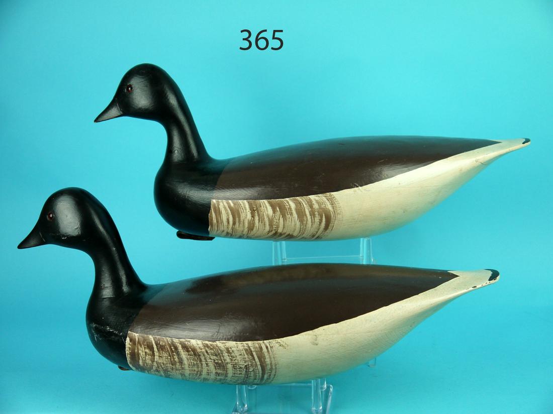 BRANT PAIR, WILDFOWLER (1 of 4)