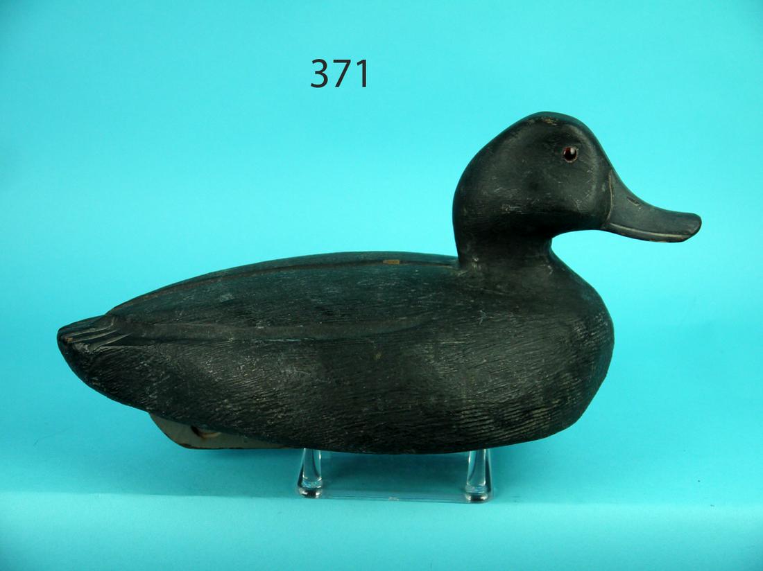 BLACK DUCK, MICHIGAN (1 of 4)