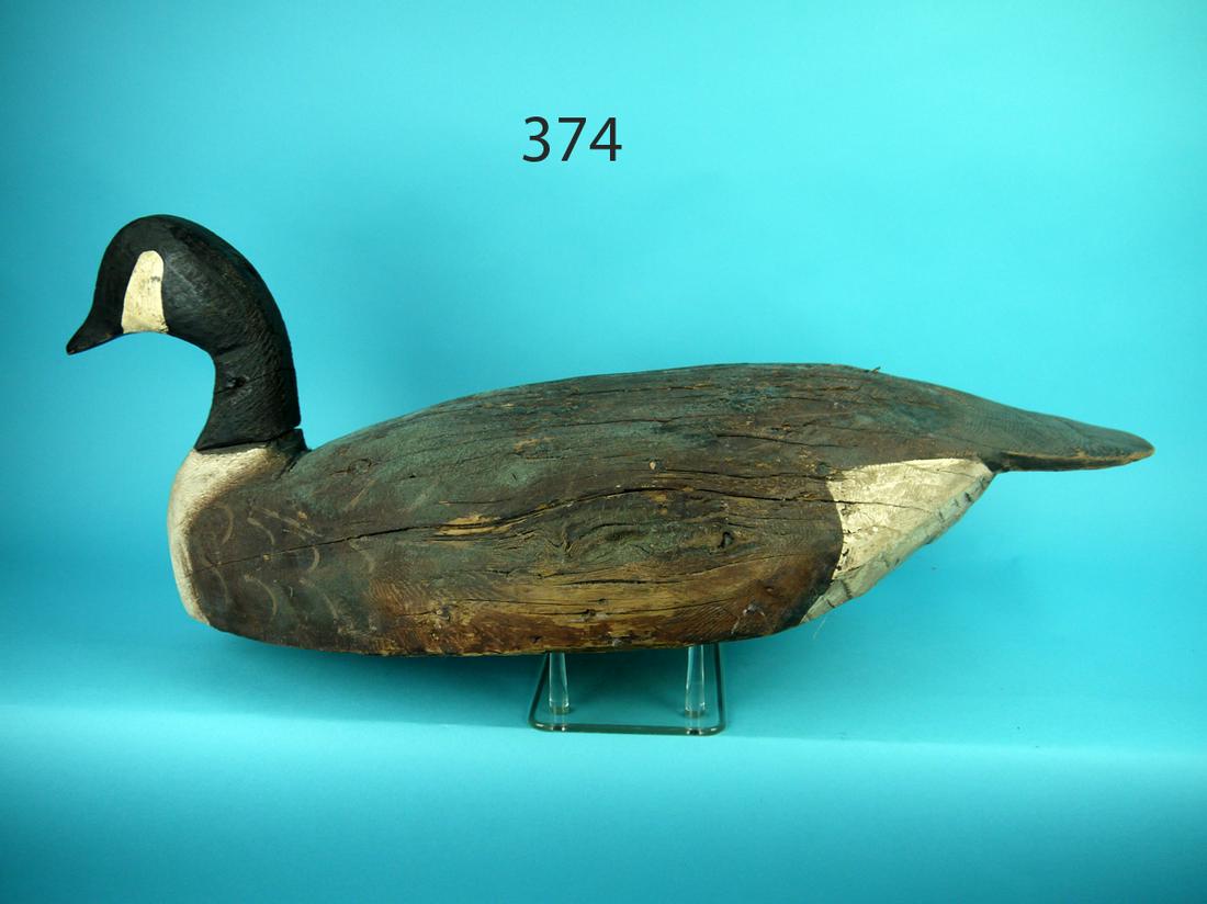 CANADA GOOSE, L. TYLER (1 of 4)