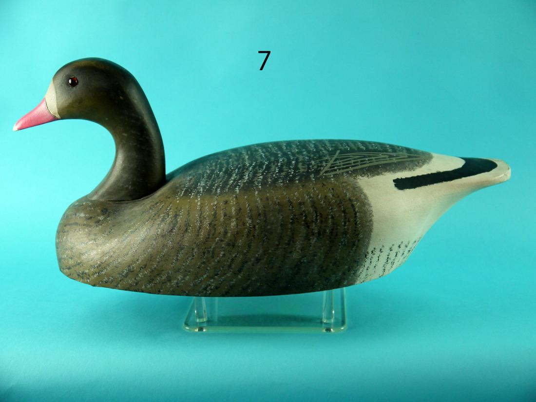 SPECKLED-BELLY GOOSE, WILDFOWLER (1 of 4)