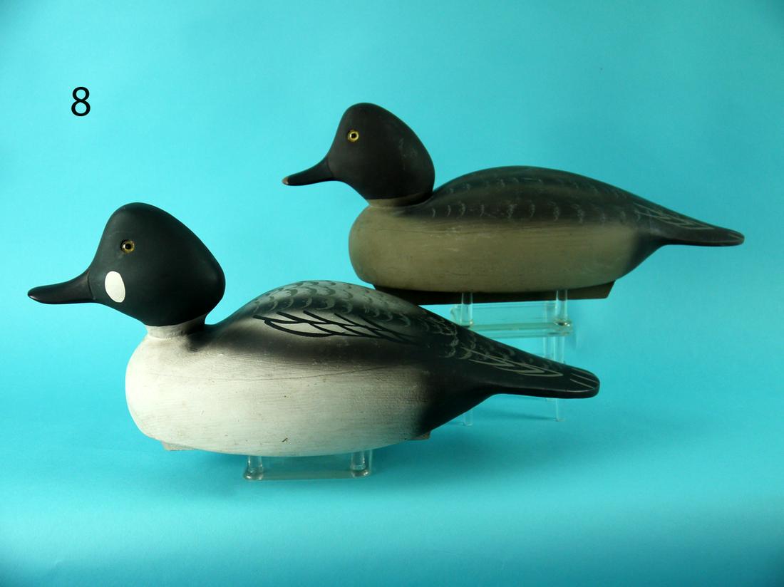 GOLDENEYE PAIR, WILDFOWLER (1 of 4)