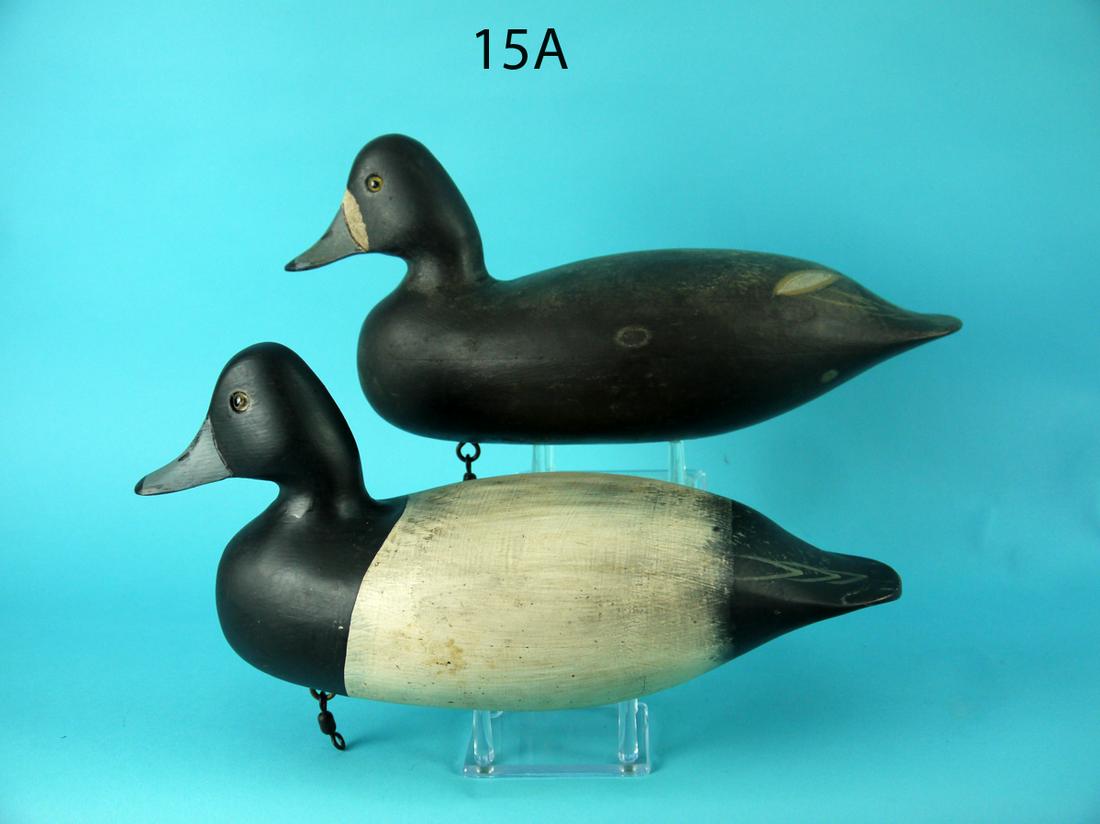 BLUEBILL PAIR, WILDFOWLER (1 of 4)