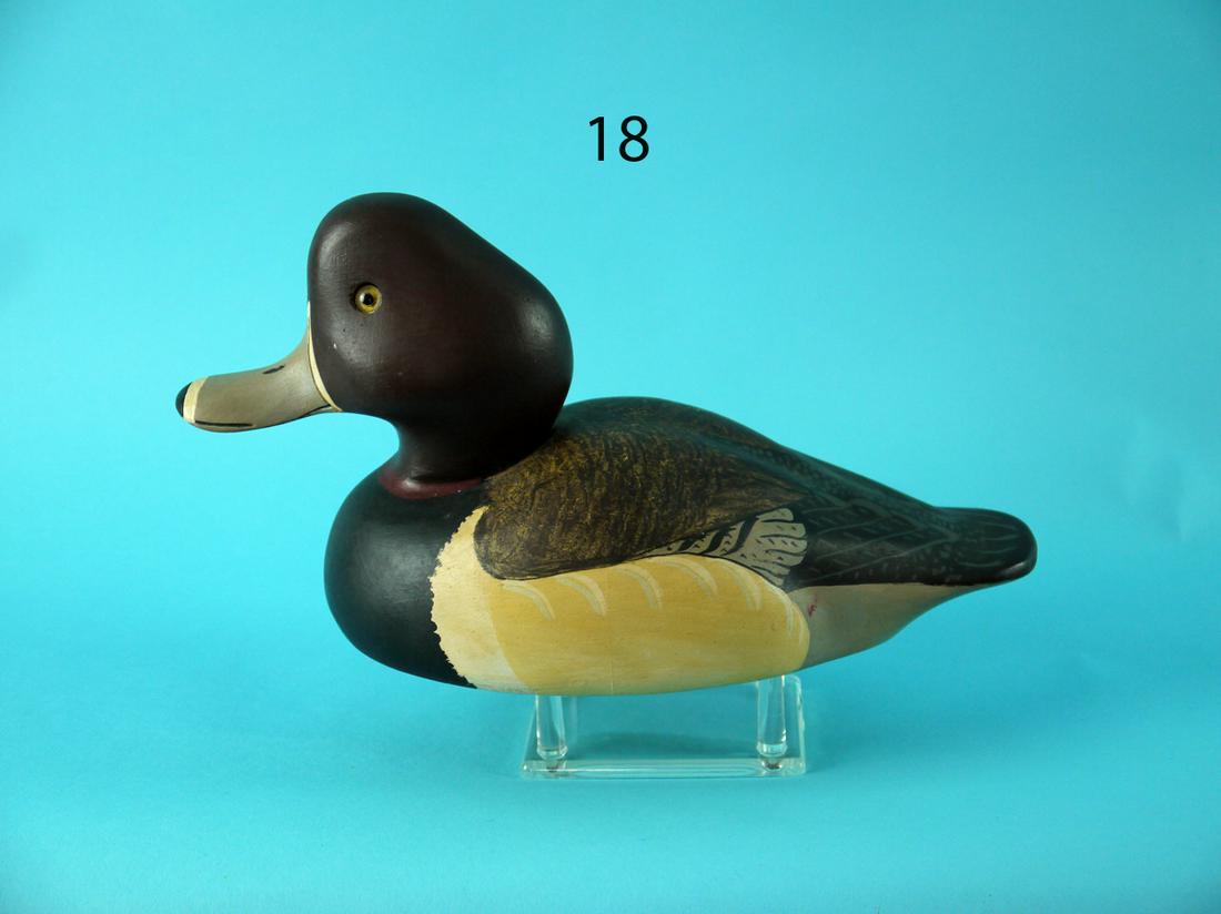 RING BILL DRAKE "CRAZY DUCK", WILDFOWLER (1 of 4)