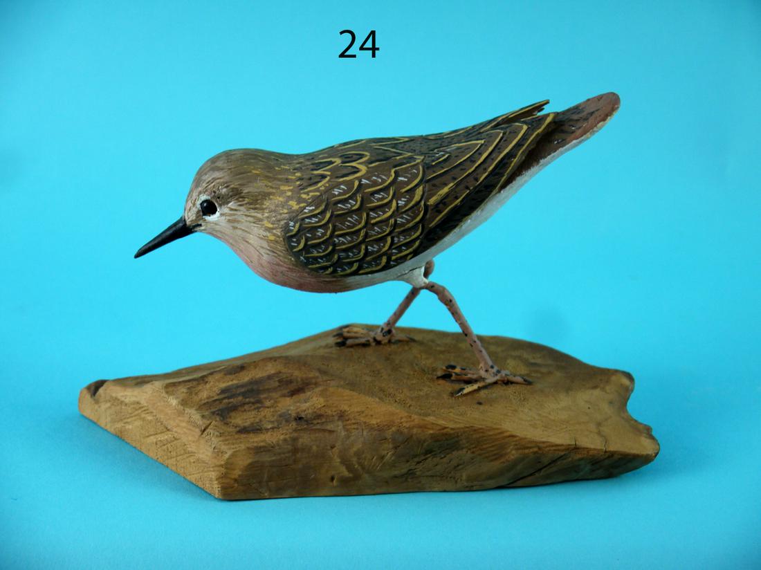 SANDPIPER, W. KEIM (1 of 4)