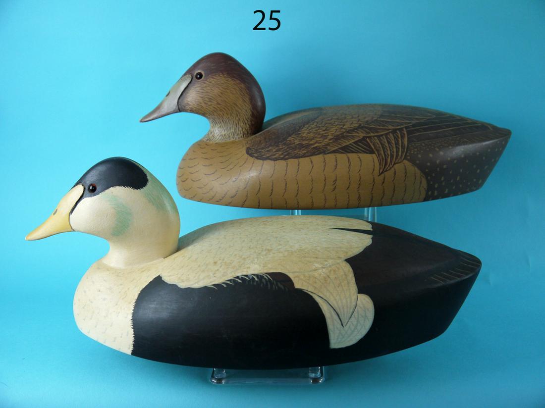 EIDER PAIR, WILDFOWLER (1 of 6)