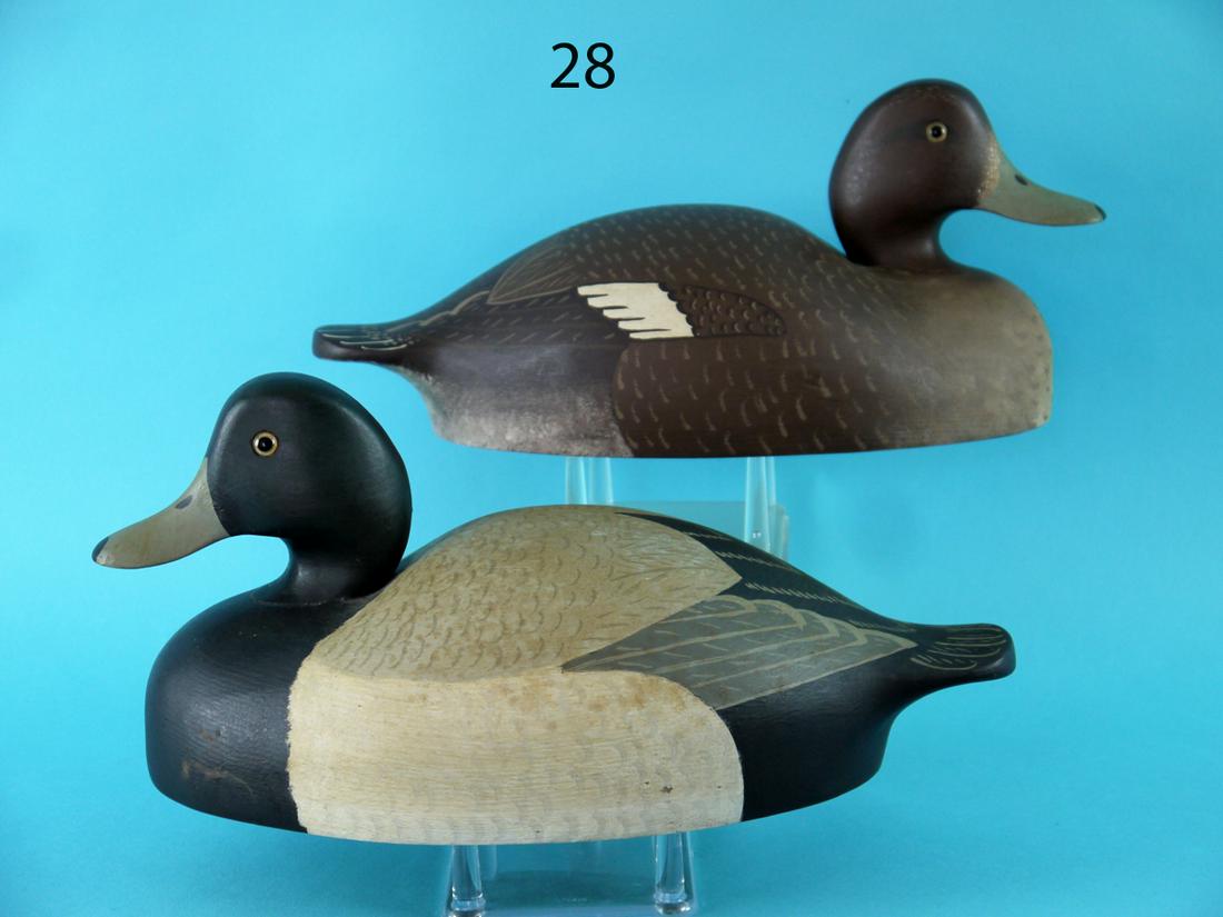 BROADBILL PAIR, WILDFOWLER (1 of 4)