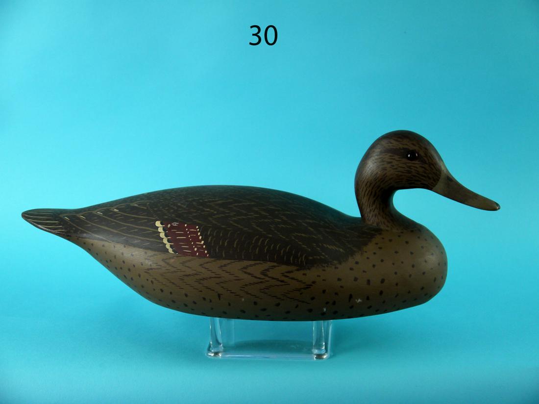 PINTAIL HEN, WILDFOWLER (1 of 4)