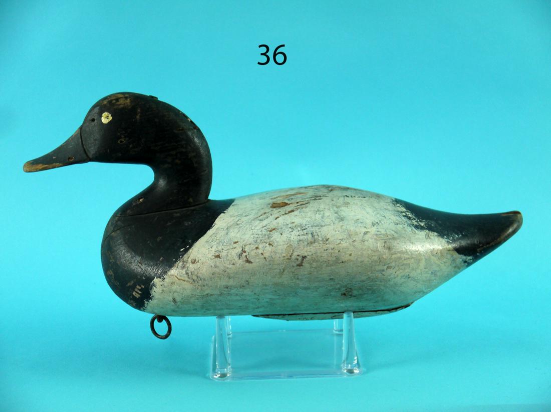 BLUEBILL DRAKE, B. MCGAW (1 of 4)