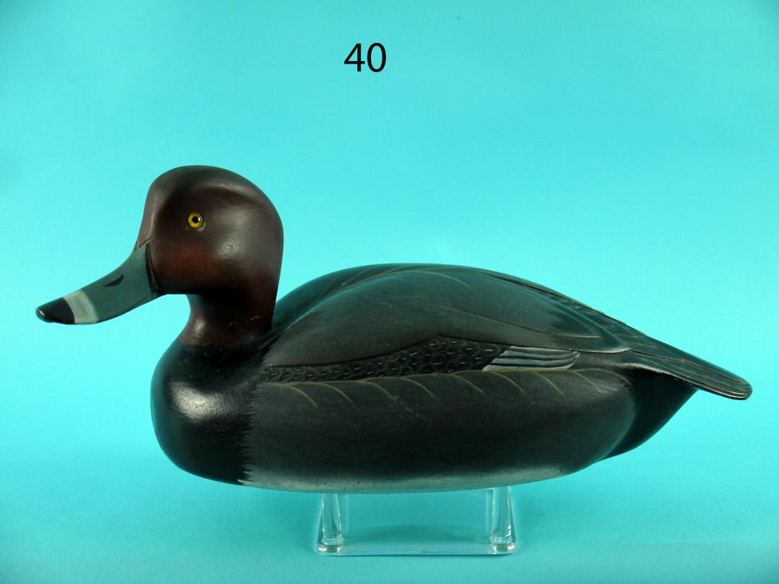 RED HEAD DRAKE, L. TAWES (1 of 4)