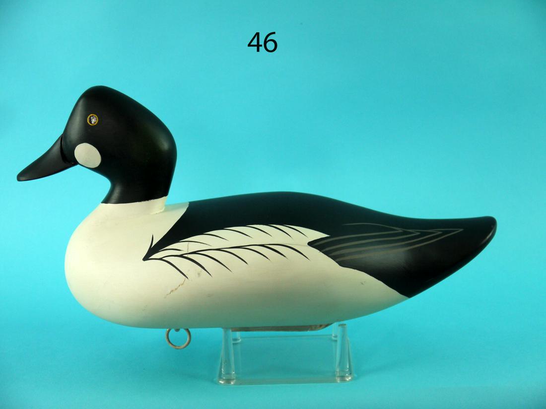 GOLDENEYE DRAKE, G. WAGONER (1 of 4)