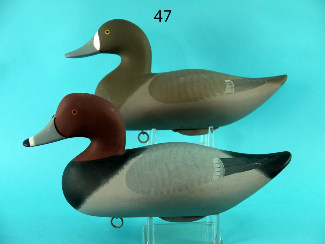 RED HEAD  PAIR, B. BODT (1 of 4)