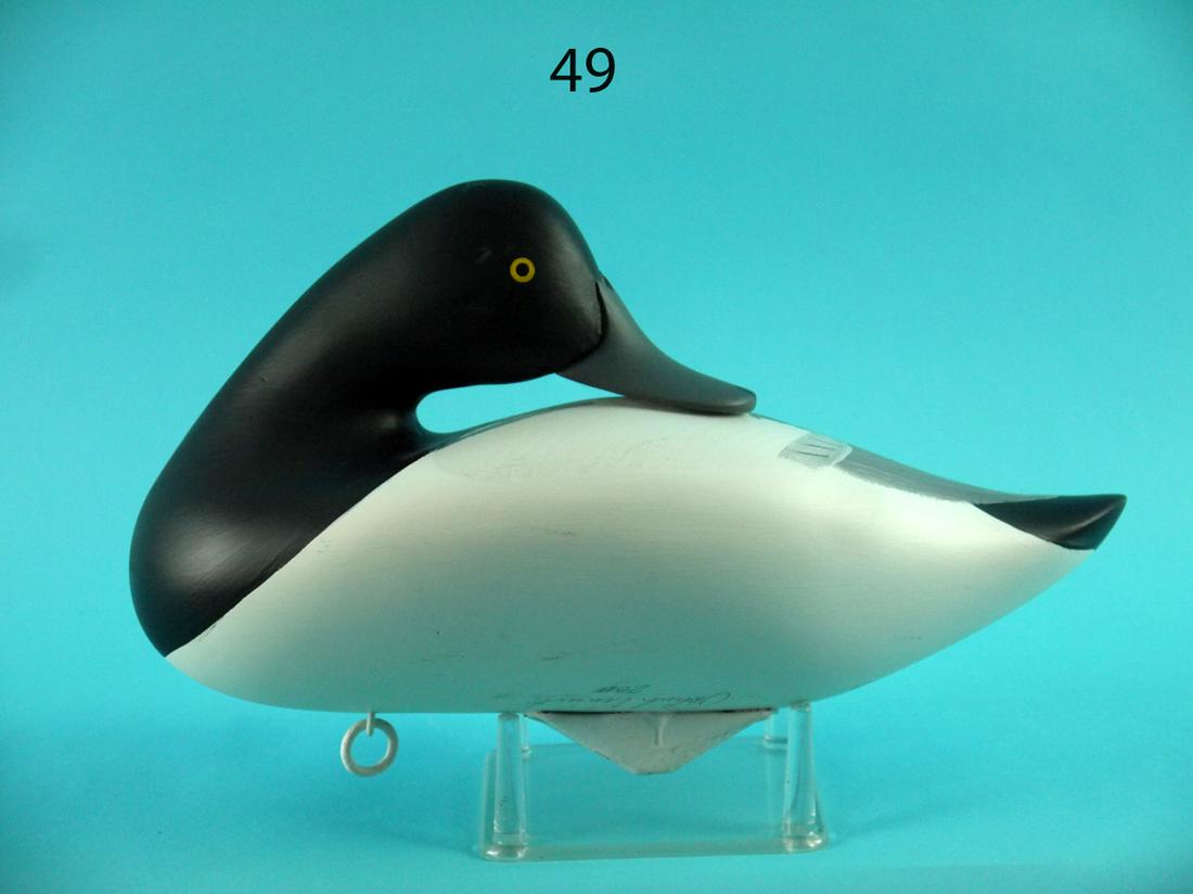 BLUEBILL DRAKE, P. VINCENTI (1 of 4)