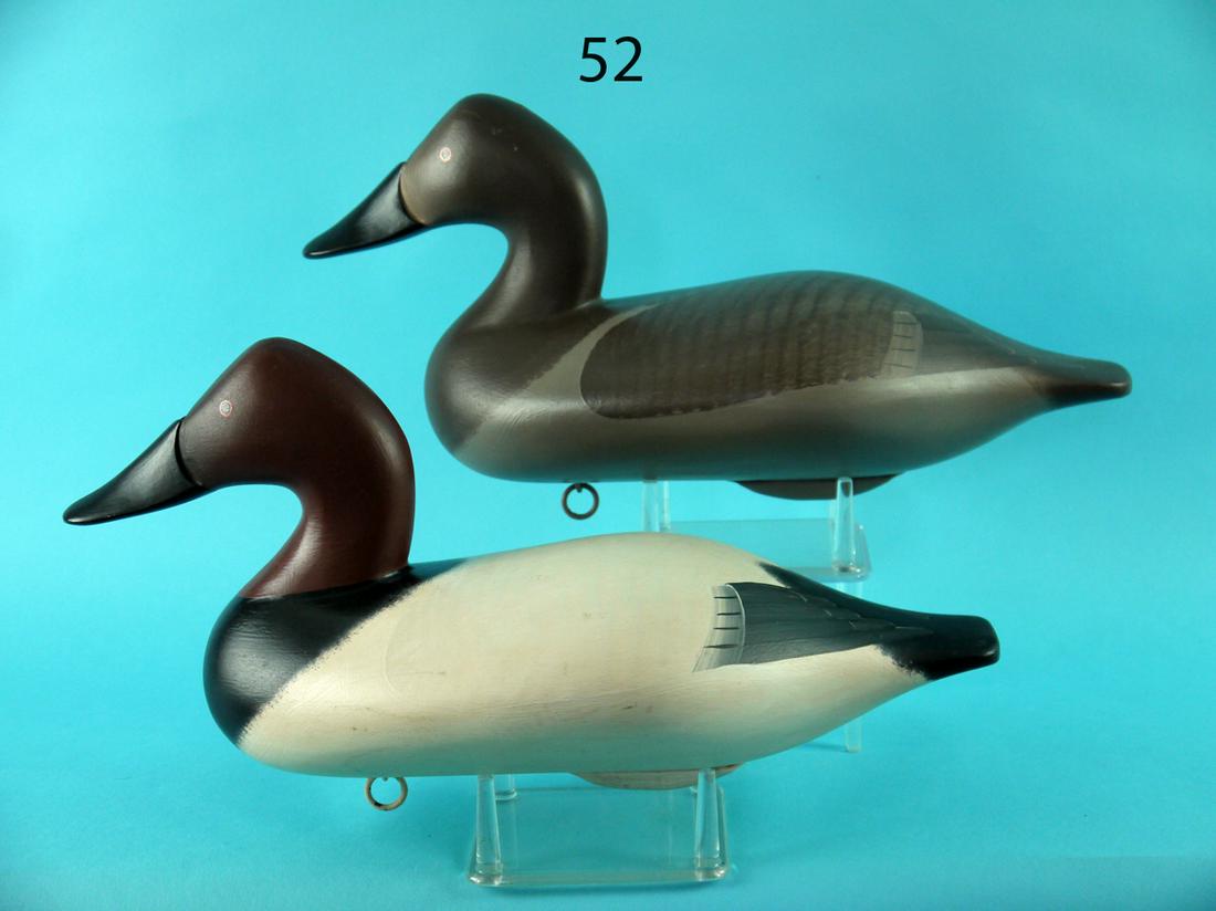 CANVASBACK PAIR, B. BODT (1 of 4)