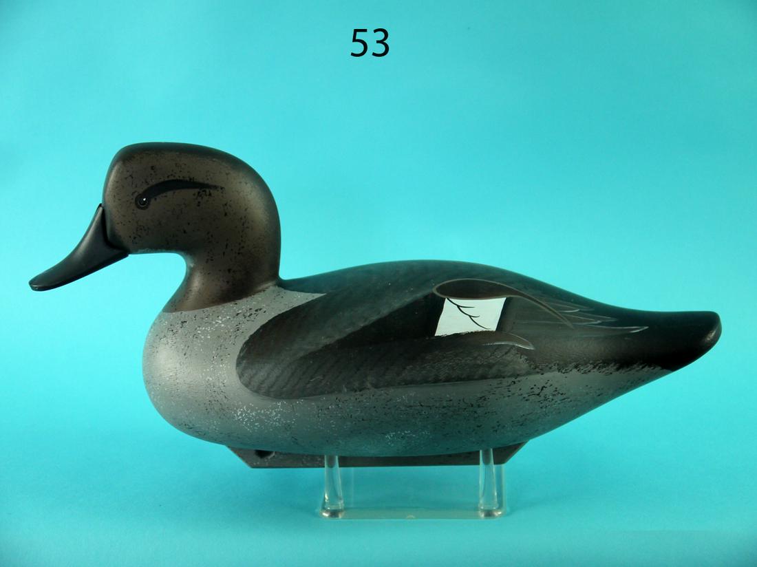 GADWALL DRAKE, J. PIERCE & SON (1 of 4)