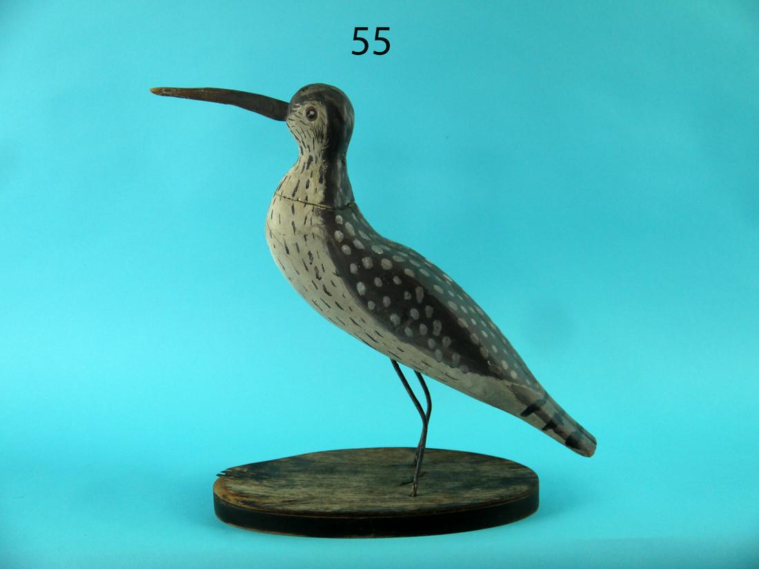 WHIMBREL, CRISFIELD, MD (1 of 3)