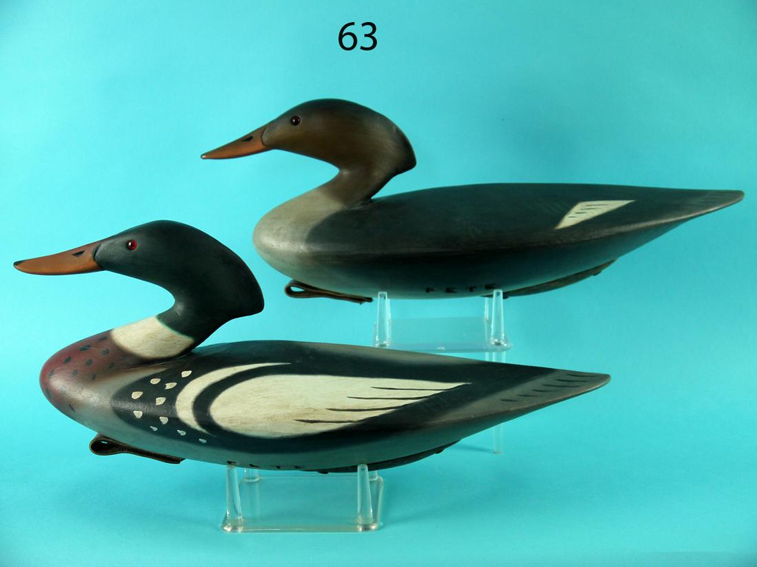 RED-BREAST MERGANSER PAIR, P. PETERSON (1 of 4)