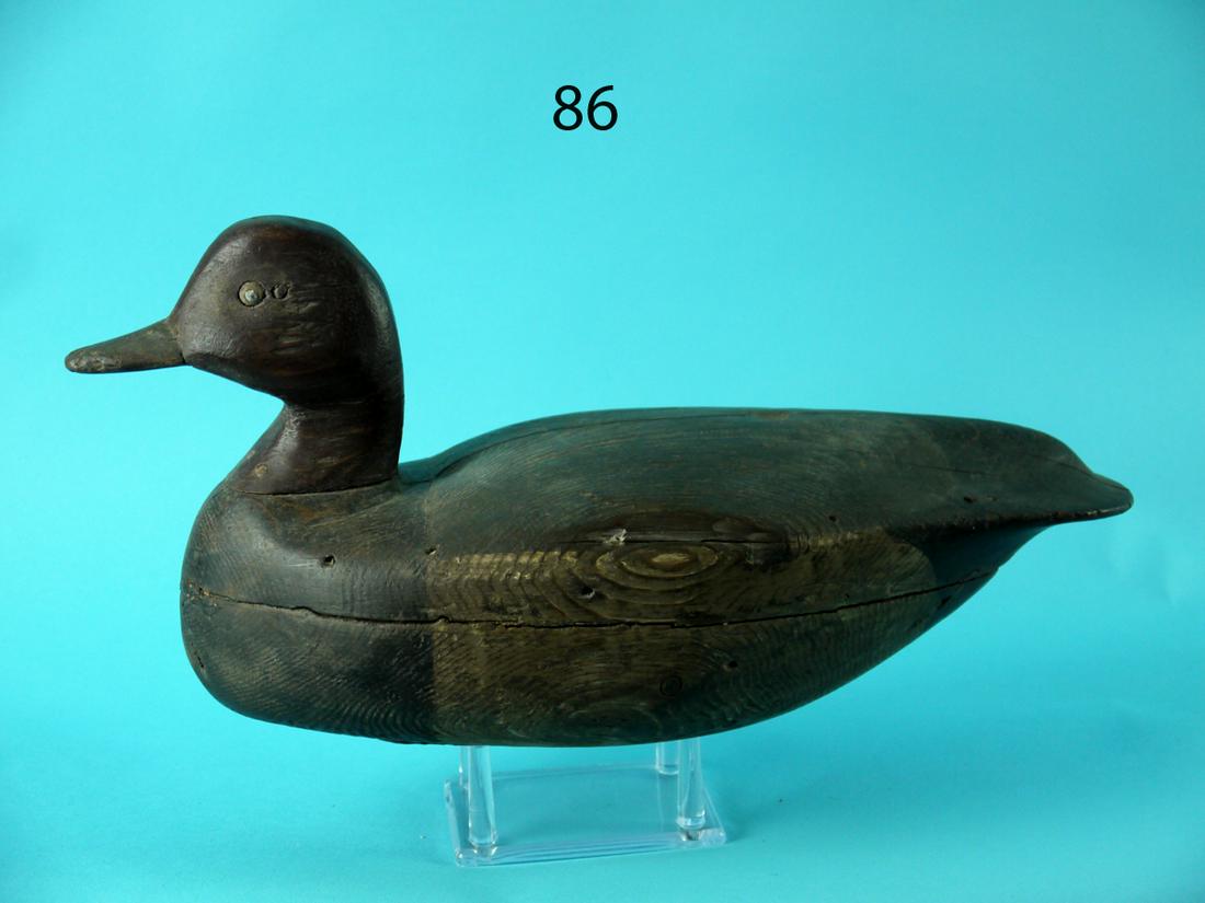 REDHEAD DRAKE, T. APPLEGATE ATTRIB. (1 of 4)