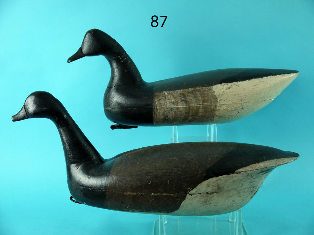 TWO BRANT, PARKERTOWN (1 of 4)