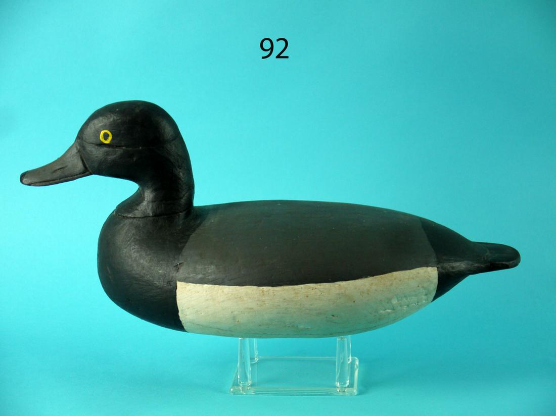 BLUEBILL DRAKE, UPPER BAY (1 of 4)