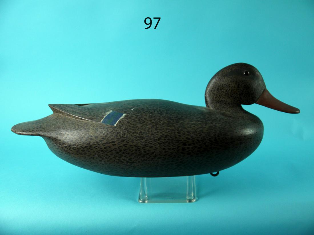MALLARD HEN, L. BOLDIZAR (1 of 4)
