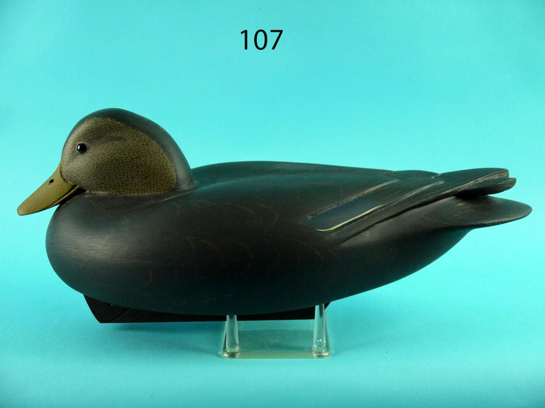 BLACK DUCK, J. MCLOUGHLIN (1 of 4)
